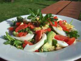 Brunnenkresse Salat